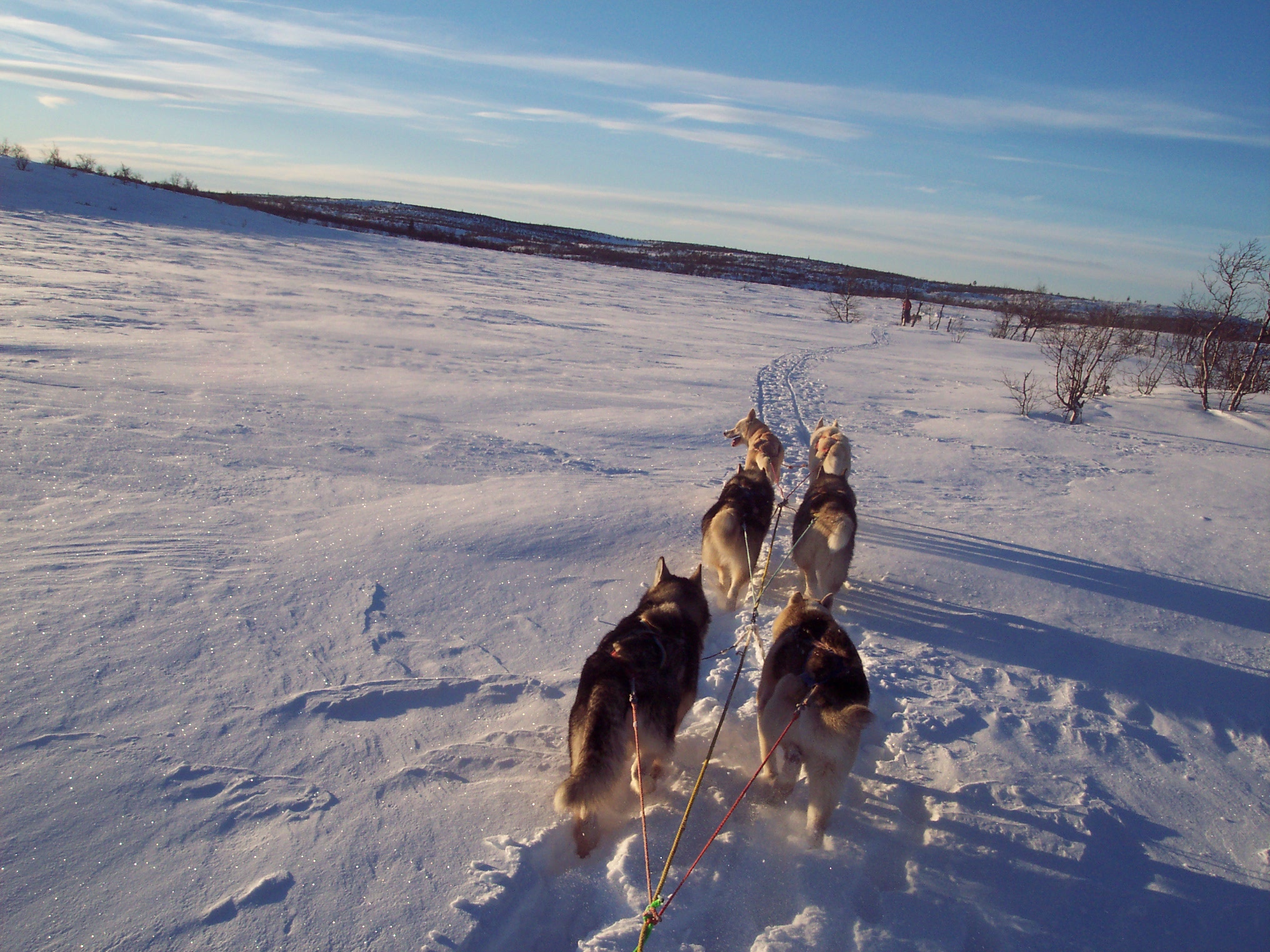 Schweden03.JPG (2032 x 1524)